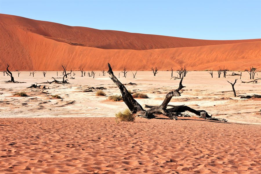 Namib desert pan and dunes
