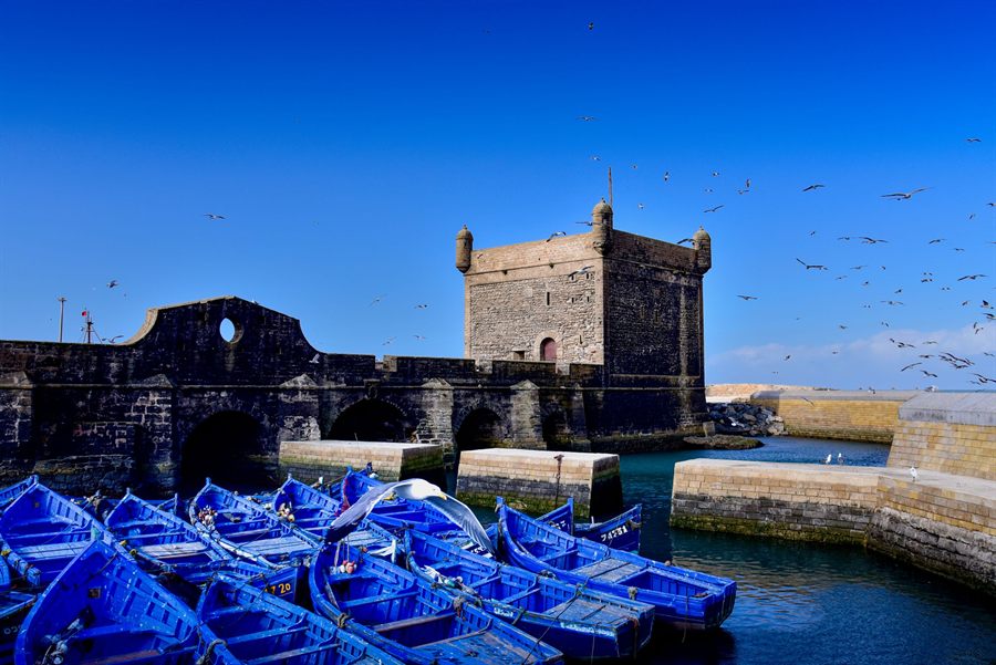 Fishing boats in Essaouira