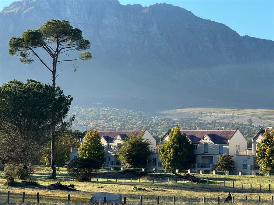 Stellenbosch winelands